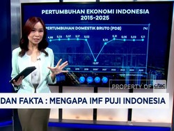 Video: IMF: RI Jadi Titik Terang Ekonomi Dunia, Ini Data & Faktanya