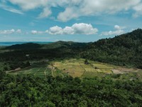Sinergi Petani-Industri, Ciptakan Ketahanan Pangan di Lingkar Tambang