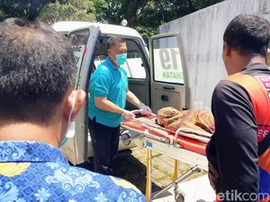 Hilang Saat Bermain, Bocah 5 Tahun di Situbondo Ditemukan Tewas di Sungai