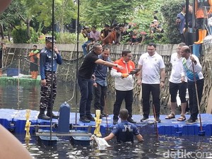 Pramono Tinjau Penangkapan Ikan Sapu-Sapu di Jakut, Hasilnya Tembus 200 Kg