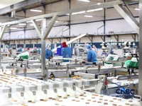 Cara Eksportir Biskuit RI Bertahan di Tengah Naiknya Harga Bahan Baku