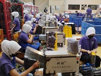 Gaji Karyawan Bebas Pajak Dilanjut 2026, Pagu Naik Hampir Rp500 M