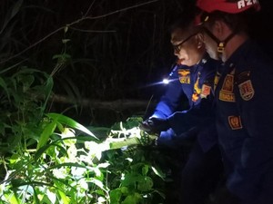 Mahasiswa Pergoki Piton 2,5 Meter di Semak Belakang Asrama Unnes