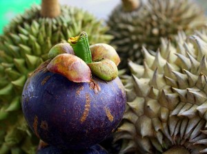 Waduh! Langka di Pasaran, Harga Manggis Kini Lebih Mahal dari Durian