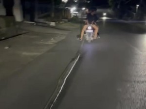 Mati Terlindas Mobil, Ular Piton 6 Meter di Kendari Diseret Pakai Motor