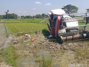 Mesin Padi Misterius Mangkrak 3 Minggu di Tengah Sawah Kalikotes Klaten