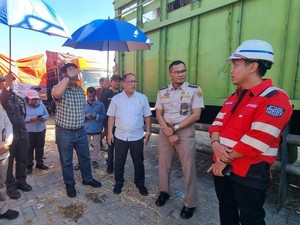11.565 Sapi NTB Dikirim ke Jawa Jelang Idul Adha