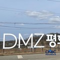 Magnet Sejarah! Wisata 'Mendebarkan' di Antara Dua Korea