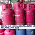 Video: Harga LPG Nonsubsidi 12 Kg Naik Jadi Rp228 Ribu per Tabung