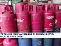 Video: Harga LPG Nonsubsidi 12 Kg Naik Jadi Rp228 Ribu per Tabung