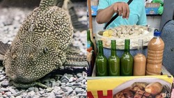 Begini Tekstur, Bau, dan Rasa Siomay dari Ikan Terkotor Jakarta