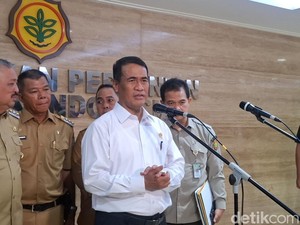 Mentan Ungkap Ada 1 Negara yang Minta Ekspor Beras
