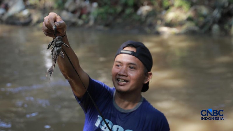 Petugas PPSU Kelurahan Gedong menunjukkan ikan sapu-sapu usai ditangkap di Kali Baru, Pasar Rebo, Jakarta Tinur, Senin (20/4/2026). (CNBC Indonesia/Muhammad Sabki)