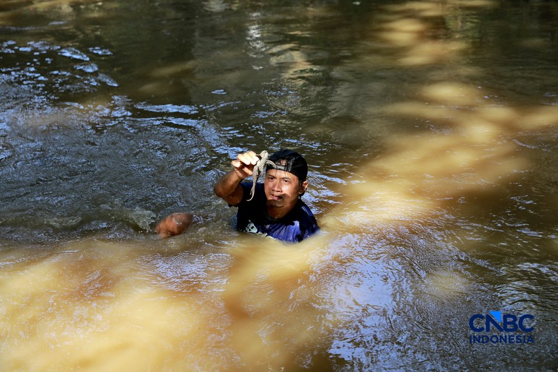 Petugas PPSU Kelurahan Gedong menunjukkan ikan sapu-sapu usai ditangkap di Kali Baru, Pasar Rebo, Jakarta Tinur, Senin (20/4/2026). (CNBC Indonesia/Muhammad Sabki)
