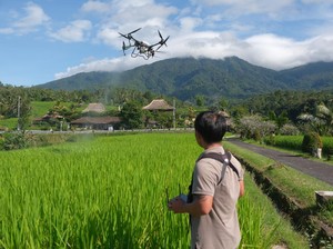 Petani Jatiluwih Pakai Drone untuk Pemupukan, Hemat Waktu dan Tenaga