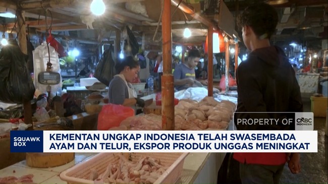 Video: RI Swasembada Ayam-Telur, Bisa Ekspor ke Singapura-Timor Leste