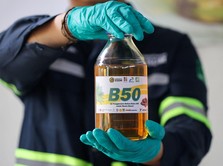 Foto: Ilustrasi B50. (REUTERS/Ajeng Dinar Ulfiana)