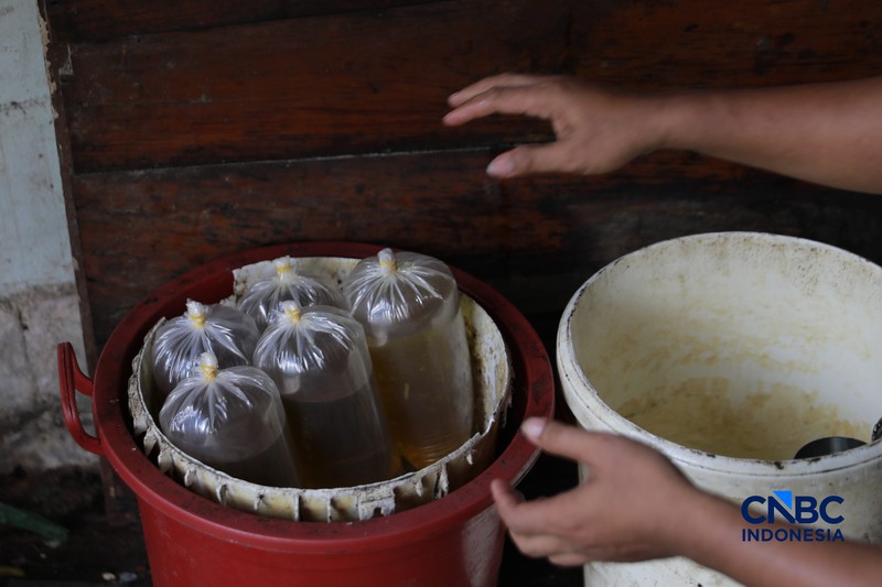 Pekerja menuang minyak curah ke dalam plastik kiloan di kawasan Pasar Pondok Labu, Jakarta Selatan, Rabu, (22/4/2026). (CNBC Indonesia/Muhammad Sabki)