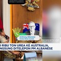 RI Ekspor Urea ke Australia, Prabowo Ditelepon PM Albanese