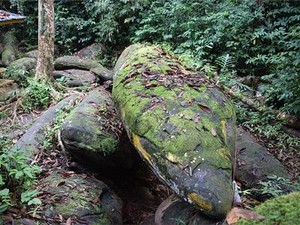 Misteri Ular Nabau, Naga Air Pelindung dalam Tradisi Iban
