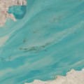 Tumpahan minyak di lepas pantai Kuwait, diambil tanggal 6 April 2026, dipublikasikan awal pekan ini. (Dok. Sentinel-2/Badan Antariksa Eropa)