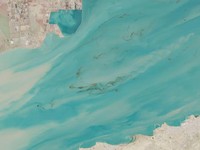 Tumpahan minyak di lepas pantai Kuwait, diambil tanggal 6 April 2026, dipublikasikan awal pekan ini. (Dok. Sentinel-2/Badan Antariksa Eropa)