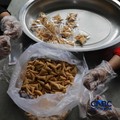 Aktivitas di dapur Asrama Haji Pondok Gede, Jakarta, terlihat sibuk pada Kamis (23/4/2026). Para petugas dapur haji tampak menyiapkan berbagai makanan, termasuk snack box, untuk memenuhi kebutuhan konsumsi calon jemaah haji. (CNBC Indonesia/Muhammad