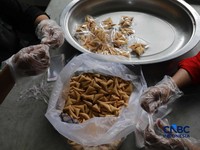 Aktivitas di dapur Asrama Haji Pondok Gede, Jakarta, terlihat sibuk pada Kamis (23/4/2026). Para petugas dapur haji tampak menyiapkan berbagai makanan, termasuk snack box, untuk memenuhi kebutuhan konsumsi calon jemaah haji. (CNBC Indonesia/Muhammad