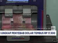 Bos BI Ungkap Penyebab Dolar Tembus Rp 17.300