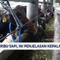 CNBC Indonesia TV