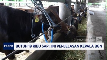 CNBC Indonesia TV