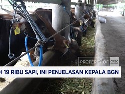 CNBC Indonesia TV