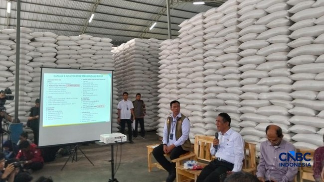 Pantas Amran Bilang RI Aman Saat El Nino, Stok Beras Cukup 15 Bulan