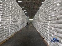 Inspeksi Mendadak Menteri Pertanian dan Direktur Utama Perum Bulog dalam rangka pengecekan stok beras di JDP karawang 1 Logistic Park, Karawang, Jawa Barat, Kamis (23/4/2026). (CNBC Indonesia/Martya Rizky)