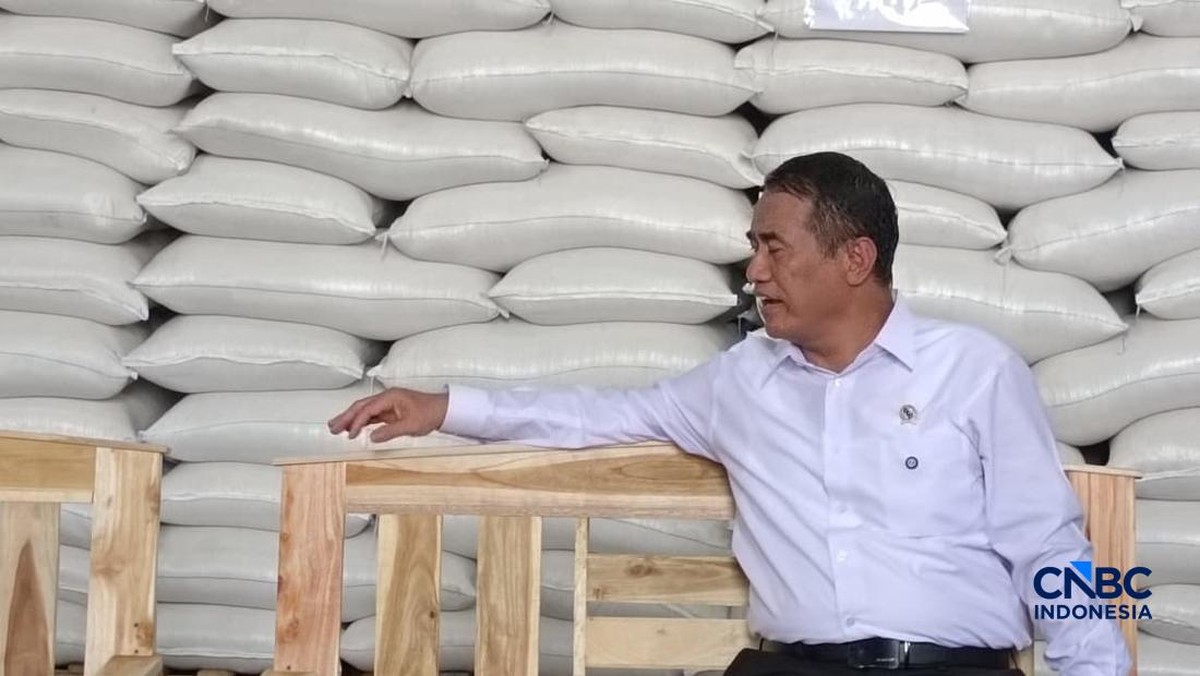 Amran Sidak ke Gudang Bulog Karawang, Umumkan Stok Beras Pecah Rekor 