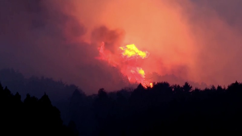 Lebih dari 1.800 warga di Jepang bagian utara diperintahkan mengungsi akibat kebakaran hutan yang terjadi pada Rabu (22/4/2026).