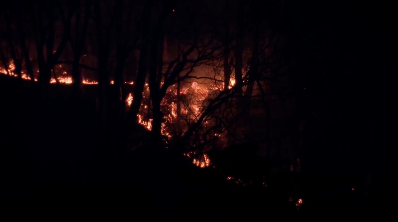 Asap mengepul dari daerah pegunungan saat kebakaran hutan melanda kota Otsuchi, Prefektur Iwate, Jepang timur laut, 23 April 2026, dalam foto yang diambil oleh Kyodo. (Mandatory credit Kyodo/via REUTERS)
