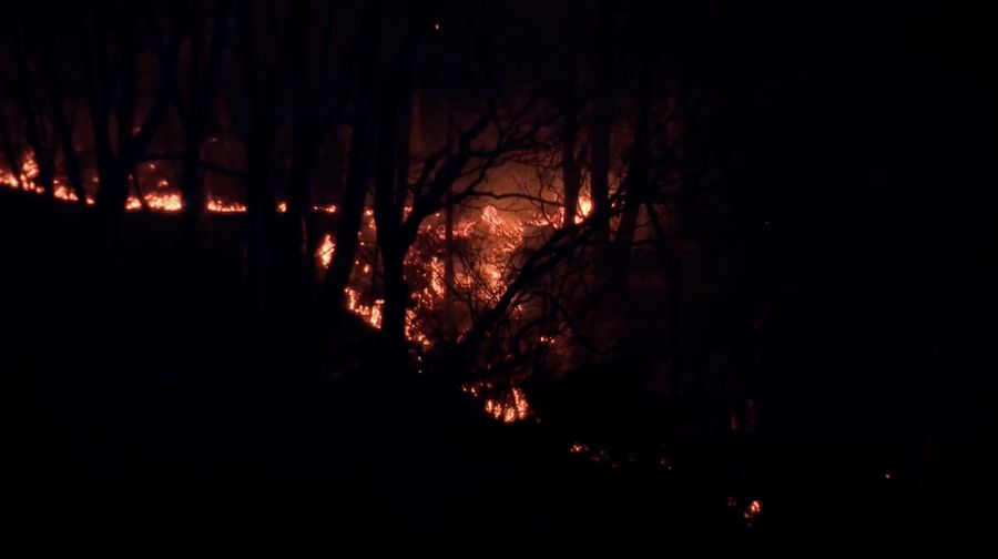 Lebih dari 1.800 warga di Jepang bagian utara diperintahkan mengungsi akibat kebakaran hutan yang terjadi pada Rabu (22/4/2026).