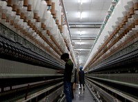 Para karyawan bekerja di dalam pabrik pembuatan benang katun Fiotex Cotspin di Rajkot, Gujarat, India, 14 April 2026. (REUTERS/Amit Dave)