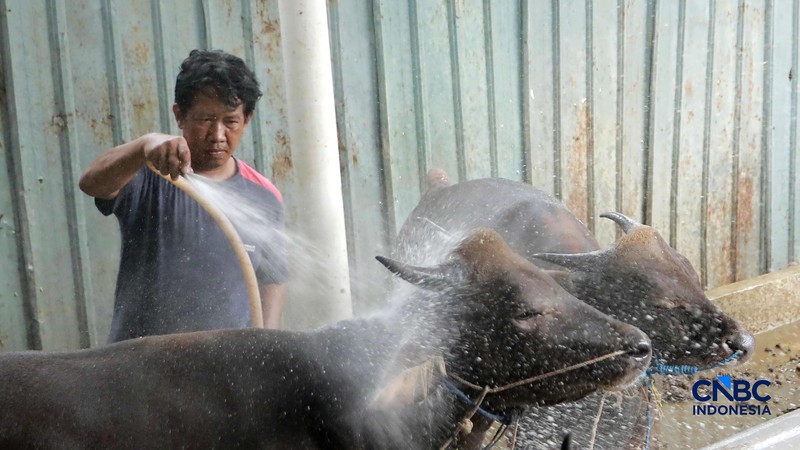 Seorang penjual daging sapi melayani pembeli di Pasar Cijantung, Jakarta Timur, Kamis (23/4/2026). (CNBC Indonesia/Muhammad Sabki)