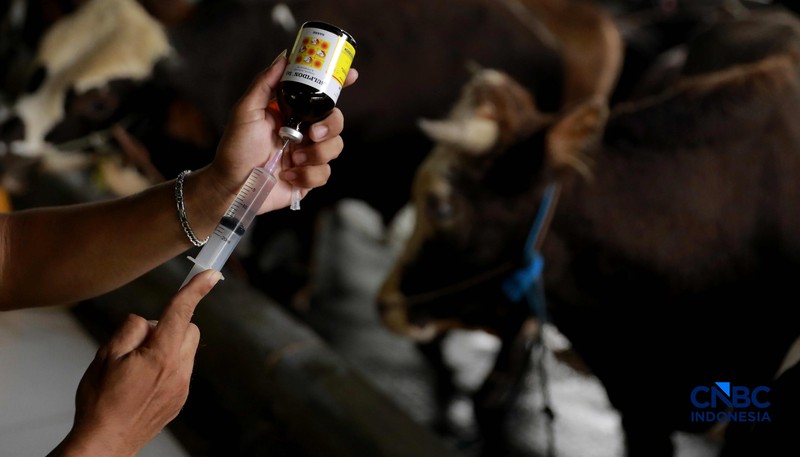 Seorang penjual daging sapi melayani pembeli di Pasar Cijantung, Jakarta Timur, Kamis (23/4/2026). (CNBC Indonesia/Muhammad Sabki)