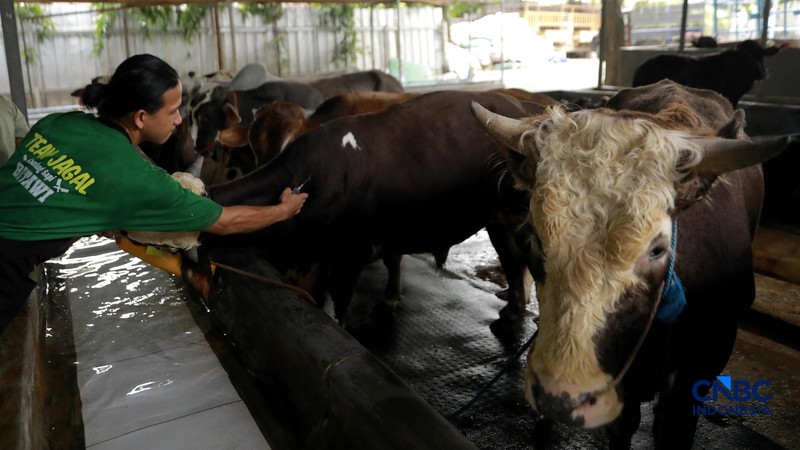 Seorang penjual daging sapi melayani pembeli di Pasar Cijantung, Jakarta Timur, Kamis (23/4/2026). (CNBC Indonesia/Muhammad Sabki)