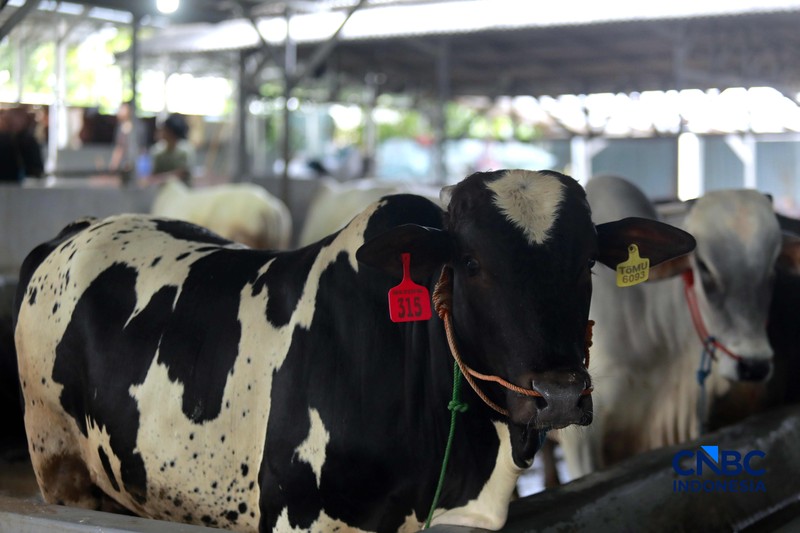 Seorang penjual daging sapi melayani pembeli di Pasar Cijantung, Jakarta Timur, Kamis (23/4/2026). (CNBC Indonesia/Muhammad Sabki)