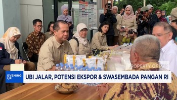Potensi Ekspor & Swasembada Pangan RI