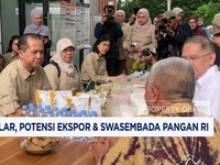 Potensi Ekspor & Swasembada Pangan RI