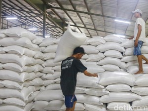 Bulog Baru Serap 190 Ribu Ton Jagung Petani, 19% dari Target