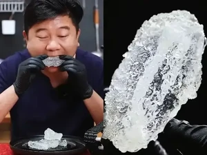 Unik! Ada Ayam Goreng Bening Seperti Kaca yang Bisa Dimakan