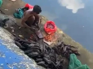 Cari Ikan Sapu-sapu Buat Dijual, 5 Pria di Jakpus Diamankan Satpol PP