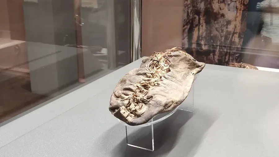 Areni-1 Adalah Sepatu Tertua dari Jenisnya yang Pernah Ditemukan. (Wikipedia)