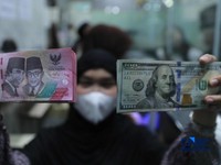 Karyawan menghitung uang pecahan dolar Amerika Serikat (AS) di gerai penukaran mata uang asing, Jakarta, Jumat (24/4/2026). (CNBC Indonesia/Muhammad Sabki)